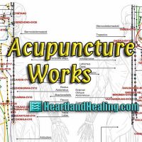 An interesting read on why acupuncture works: