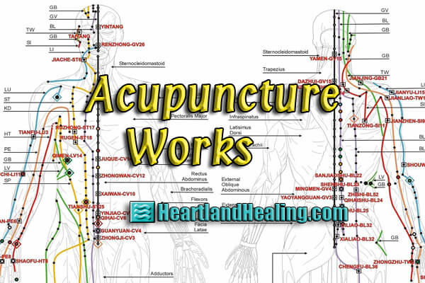 An interesting read on why acupuncture works:_0